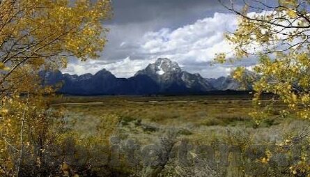 国产精品一亚洲av日韩-国产精品一，亚洲与日韩AV的多元视角
