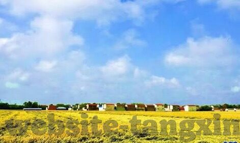 果冻传媒视频观看-探索果冻传媒视频，娱乐新视界的一次深度体验
