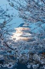 人妻骚-探寻人妻的多元面向，爱、成长与自我实现