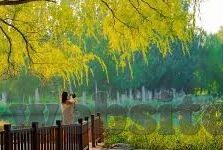 亚洲av男人的天堂麻豆-亚洲AV的多元化视角，男性玩家沉浸的麻豆乐园