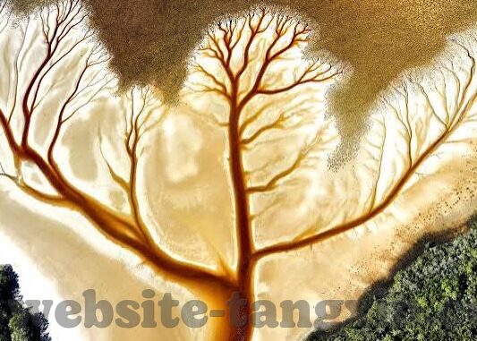 亚洲av无码片一区二区三区-探索亚洲影视文化的多元视角，从一区到三区的深度剖析