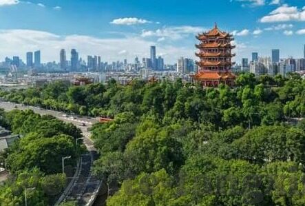 亚洲精品麻豆91-探索亚洲美学之旅，解锁亚洲精品麻豆91的独特魅力